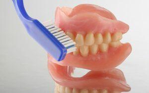 A model of dentures with a blue toothbrush.