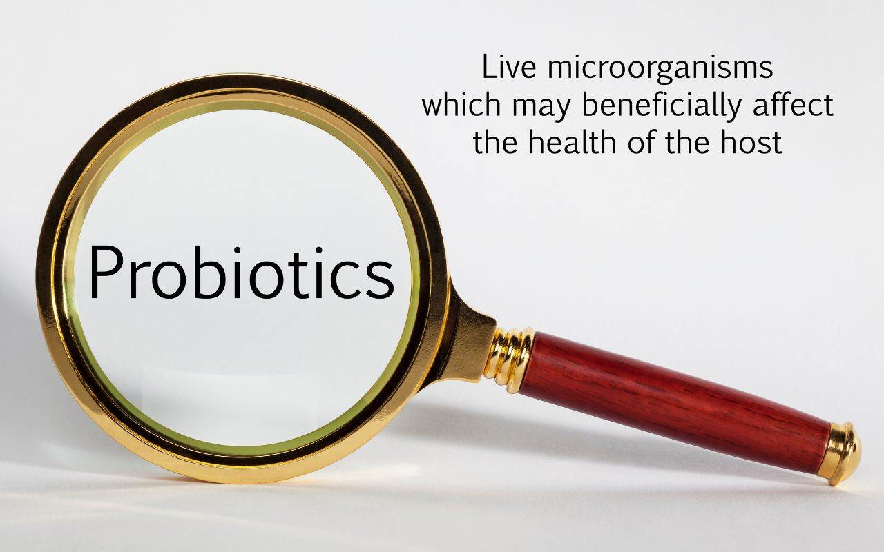 Live microorganisms which may beneficially affect the health of the host - use-probiotics-for-a-healthy-oral-microbiome