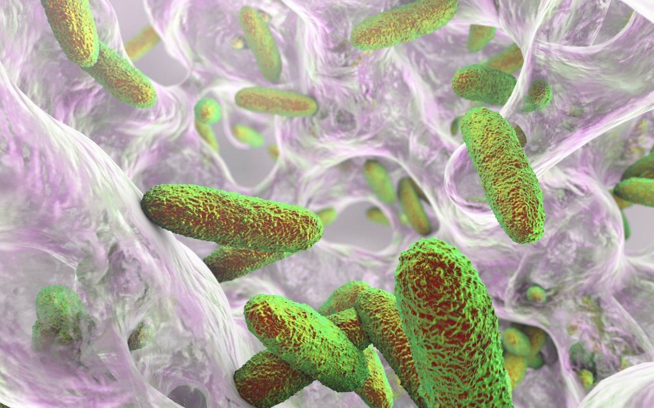 A close-up of green and red bacteria - what-impacts-oral-microbiome-health